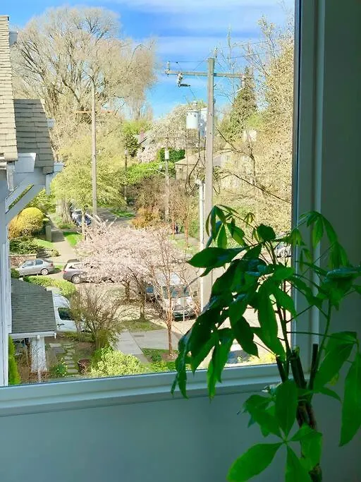 아파트 Lofty Studio Prime Cap Hill Area Mins To Downtown 시애틀